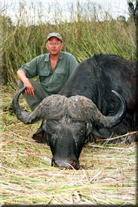 buffalo42