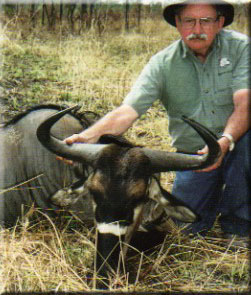 Nyasa Wildebeest 1